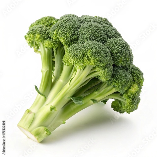 Fresh broccoli with stalk