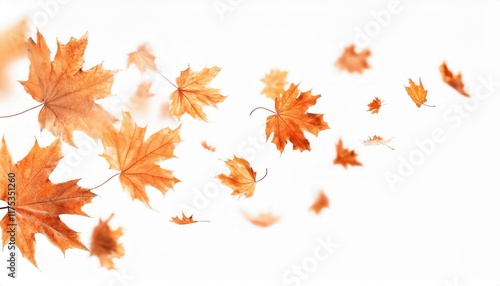 Autumn Maple Leaves in Motion on a Minimalist White Background Representing Fall Breeze, Seasonal Aesthetics, and Nature's Beauty

