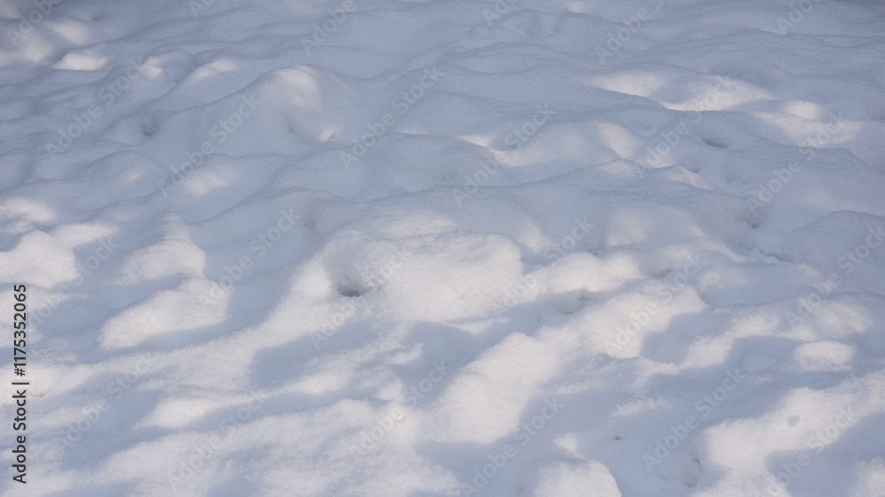 light and shadow on snowy background, selective focus light and shadow on snowy background, selective focus