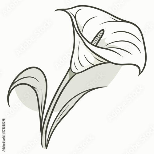 The white calla lily, with its elegant, trumpet-shaped blooms, is a symbol of purity and sophistication. Its smooth, creamy-white petals curve gracefully around a central spadix, creating a striking.