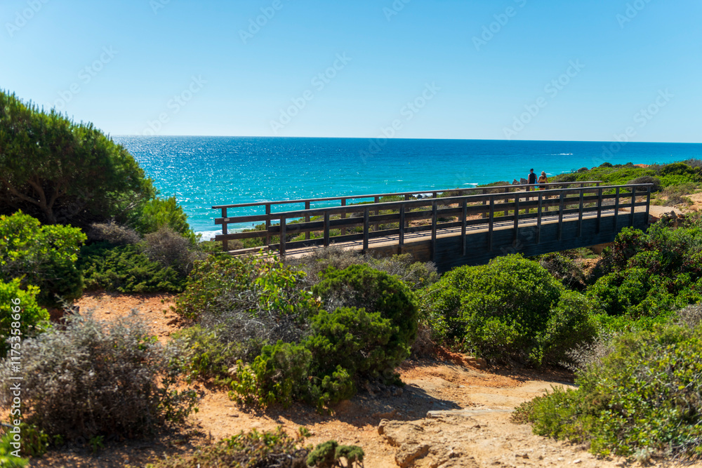 Fototapeta premium PUENTE DE MADERA CALAS DE CONIL CALAS DE ROCHE CÁDIZ