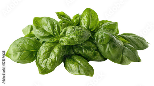 Italian pesto isolated on white background