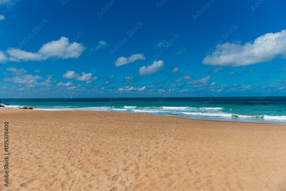 CALAS DE ROCHE CONIL DE LA FRONTERA DETALLES 2024 CALAS DE ROCHE CONIL DE LA FRONTERA DETALLES 2024