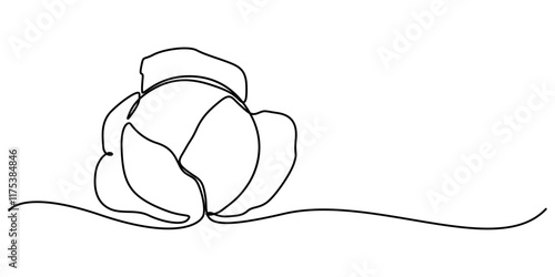 Single continuous line drawing whole and cut sliced healthy organic headed cabbage for farm logo identity, Chinese cabbage in continuous line art drawing style. Bok choy (pak choi) black linear sketch