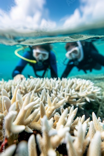 A group of scientists studying coral reefs damaged by ocean warming, illustrating the effects of climate change on marine life and the need for conservation photo