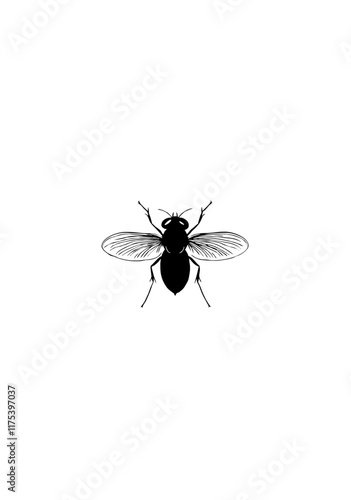 Minimalistic Black Fly Vector Illustration in Silhouette Style with Transparent Background