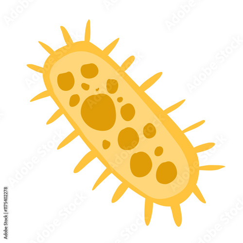 Common bacteria infecting human medical educational
