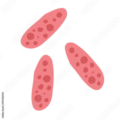 Common bacteria infecting human medical educational