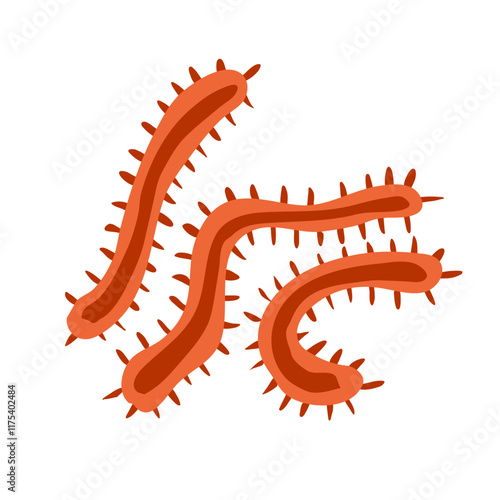 Common bacteria infecting human medical educational