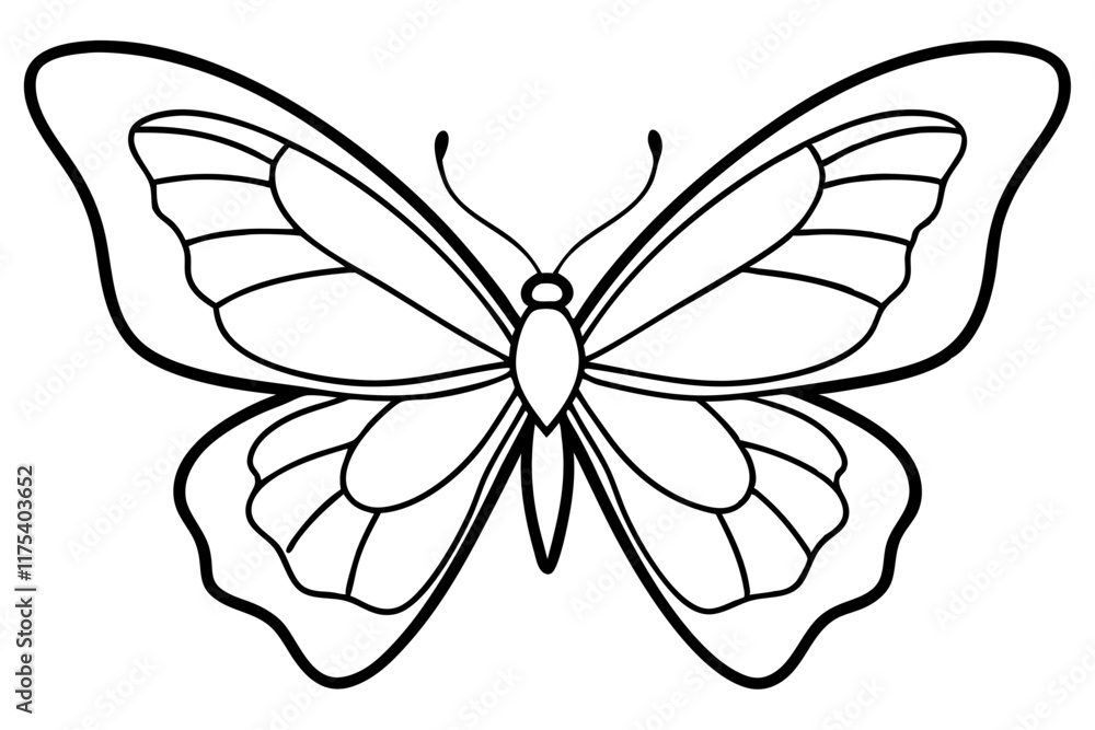 Elegant Butterfly Line Art Vector Illustration - Flying Design SVG Elegant Butterfly Line Art Vector Illustration - Flying Design SVG