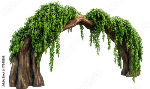 Fototapeta Naklejka Na Ścianę i Meble -  Lush green vines arching over a weathered wooden frame.