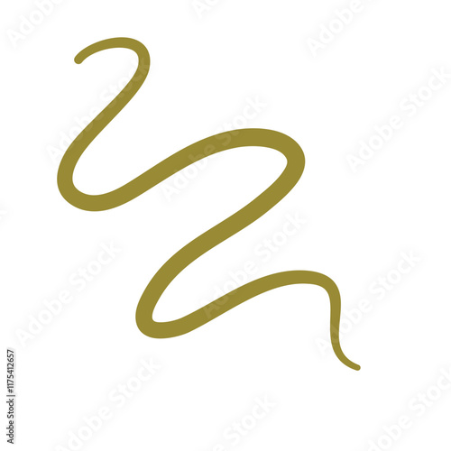 Parasiting worm vector