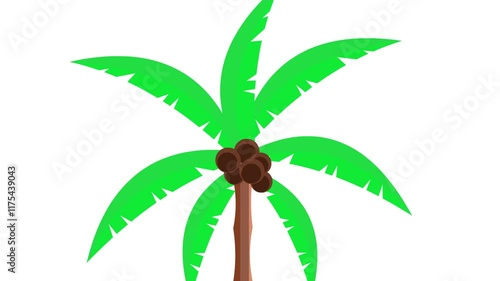 Animation of a palm tree with coconuts on a white background, art, drawing