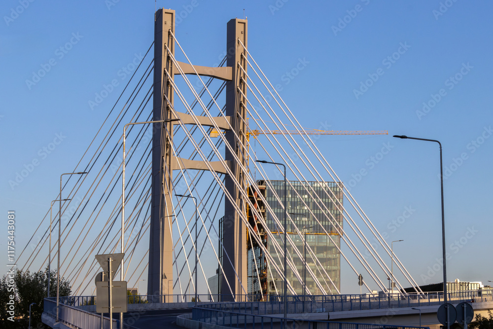 Obraz premium bridge over the river
