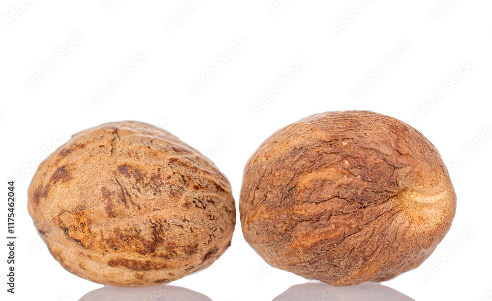 Two nutmegs, macro, isolated on white background. Two nutmegs, macro, isolated on white background.