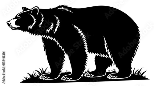 illustration of a bear
