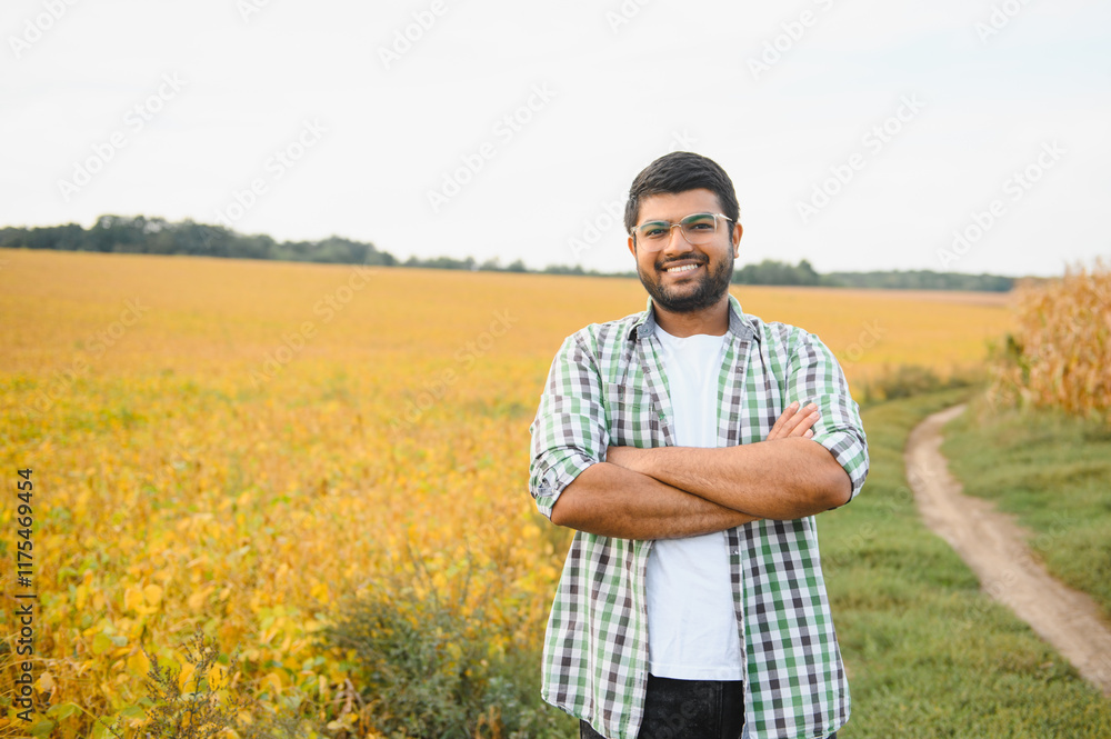 indian farmer at farm field. soybean field indian farmer at farm field. soybean field