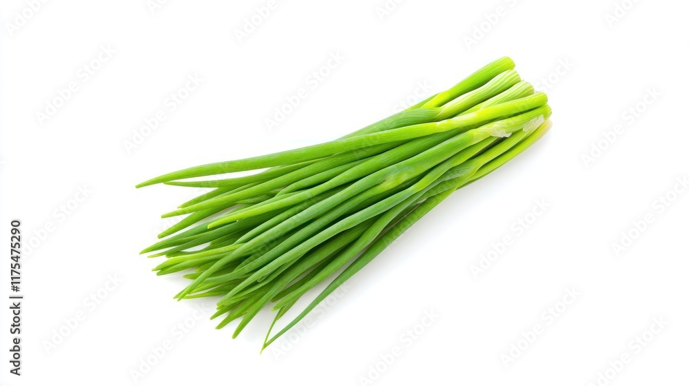 Fresh green onions arranged neatly on a white background. Fresh green onions arranged neatly on a white background.