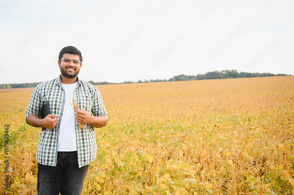 A young Indian farmer works in a soybean field A young Indian farmer works in a soybean field