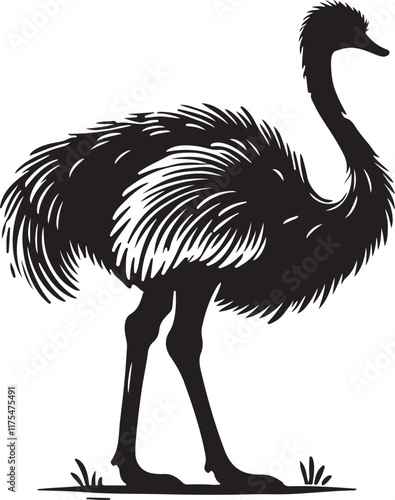 A Black and White Ostrich Walking in the Desert , ostrich , bird , animal , desert photo