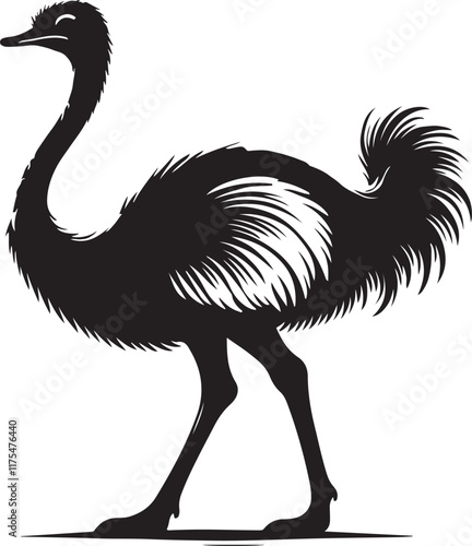 A Black and White Ostrich Walking in the Desert , ostrich , bird , animal , desert photo