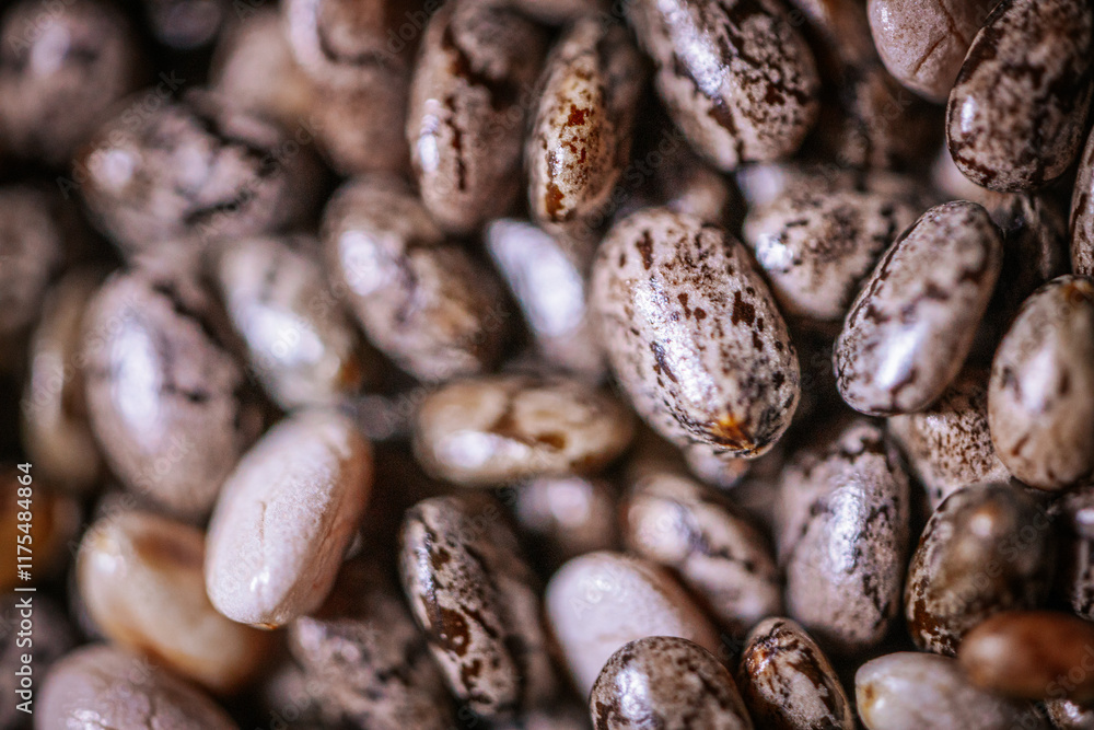 A close-up of chia seeds, showcasing their unique speckled patterns and glossy texture. These tiny seeds are a popular superfood, rich in nutrients and perfect for healthy recipes. A close-up of chia seeds, showcasing their unique speckled patterns and glossy texture. These tiny seeds are a popular superfood, rich in nutrients and perfect for healthy recipes.