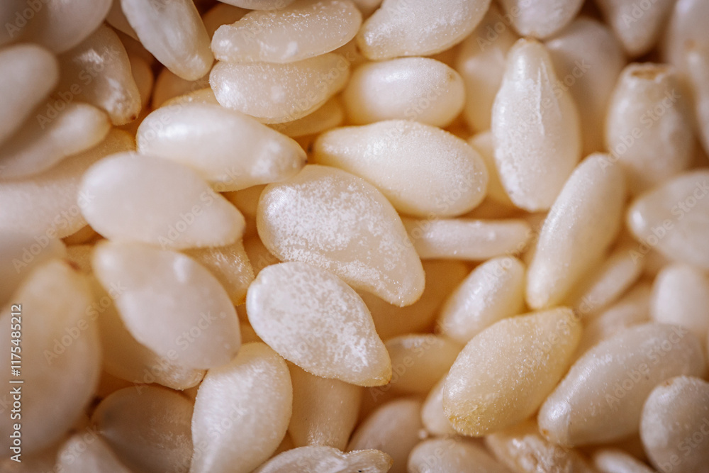 A macro shot of white sesame seeds showcasing their smooth texture and oval shape, commonly used in cooking and baking.