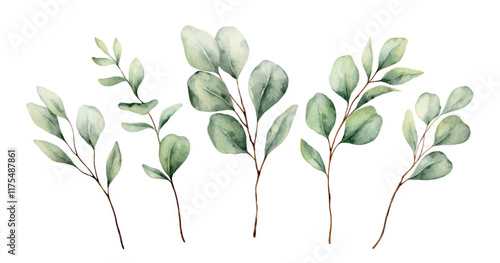 Watercolor vector set with green eucalyptus branches. Greenery clipart for wedding invitation, greeting cards, save the date, stationery design. Hand drawn illustration.