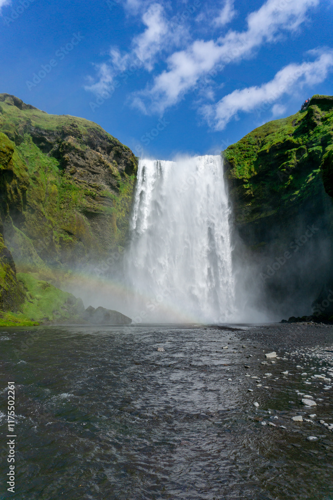 Fototapeta premium skogafoss waterfall, iceland in summer with rainbow