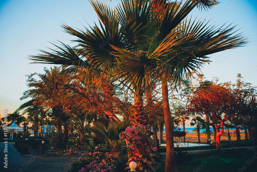 Fototapeta premium Trees and palms against the background of sea and sky. Vacation