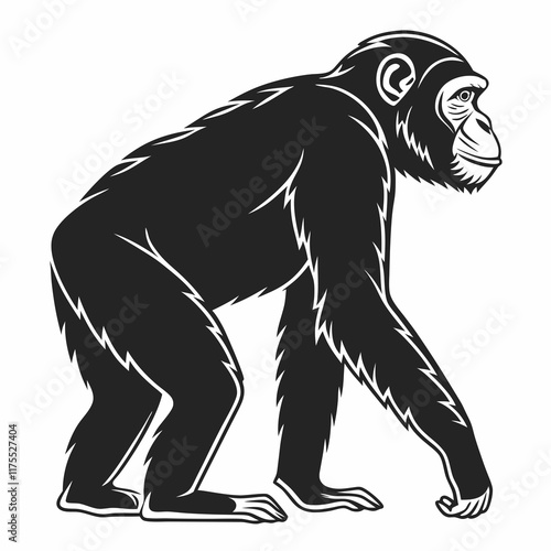 Chimpanzee vector silhouette black design white background photo