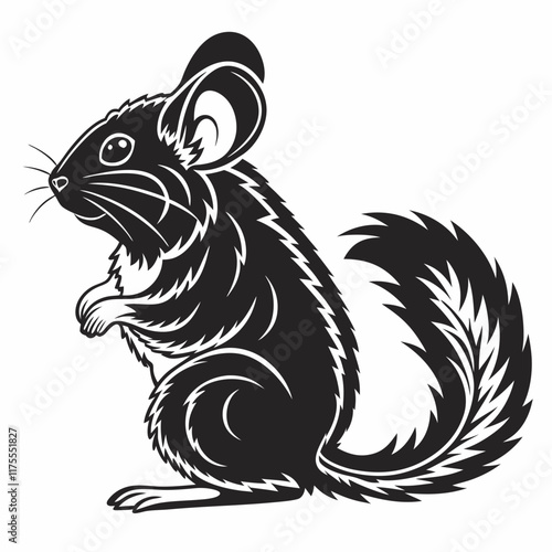 Chinchilla vector silhouette black design white background