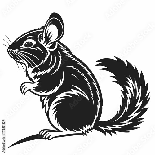 Chinchilla vector silhouette black design white background
