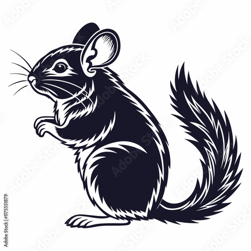 Chinchilla vector silhouette black design white background