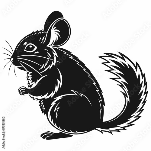 Chinchilla vector silhouette black design white background