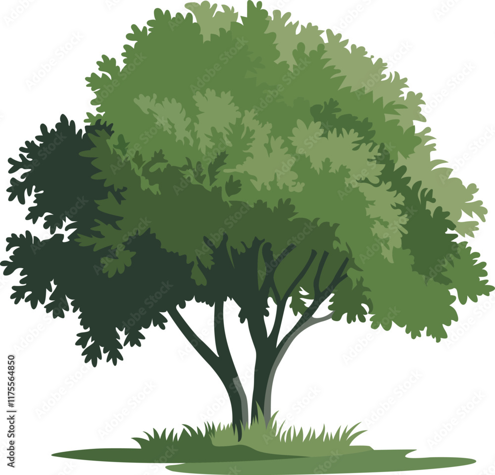Obraz premium a tree with green leaves
