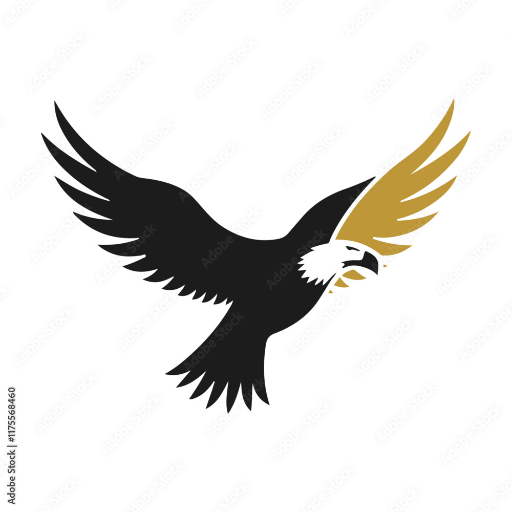 Obraz premium Eagle Flight