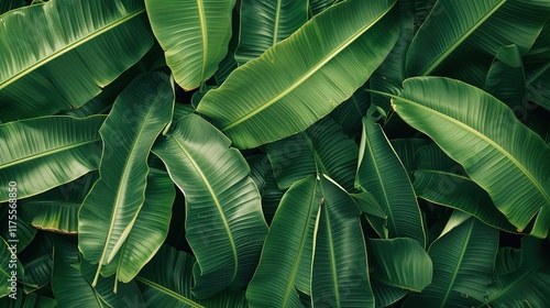 tropical palm leaves seamless pattern wallpaper