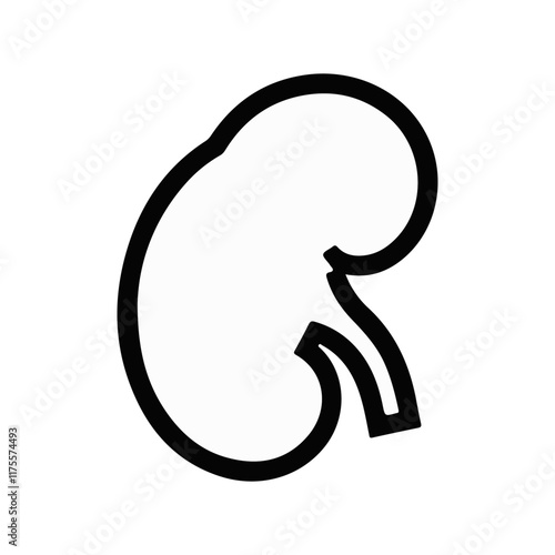 Kidney icon