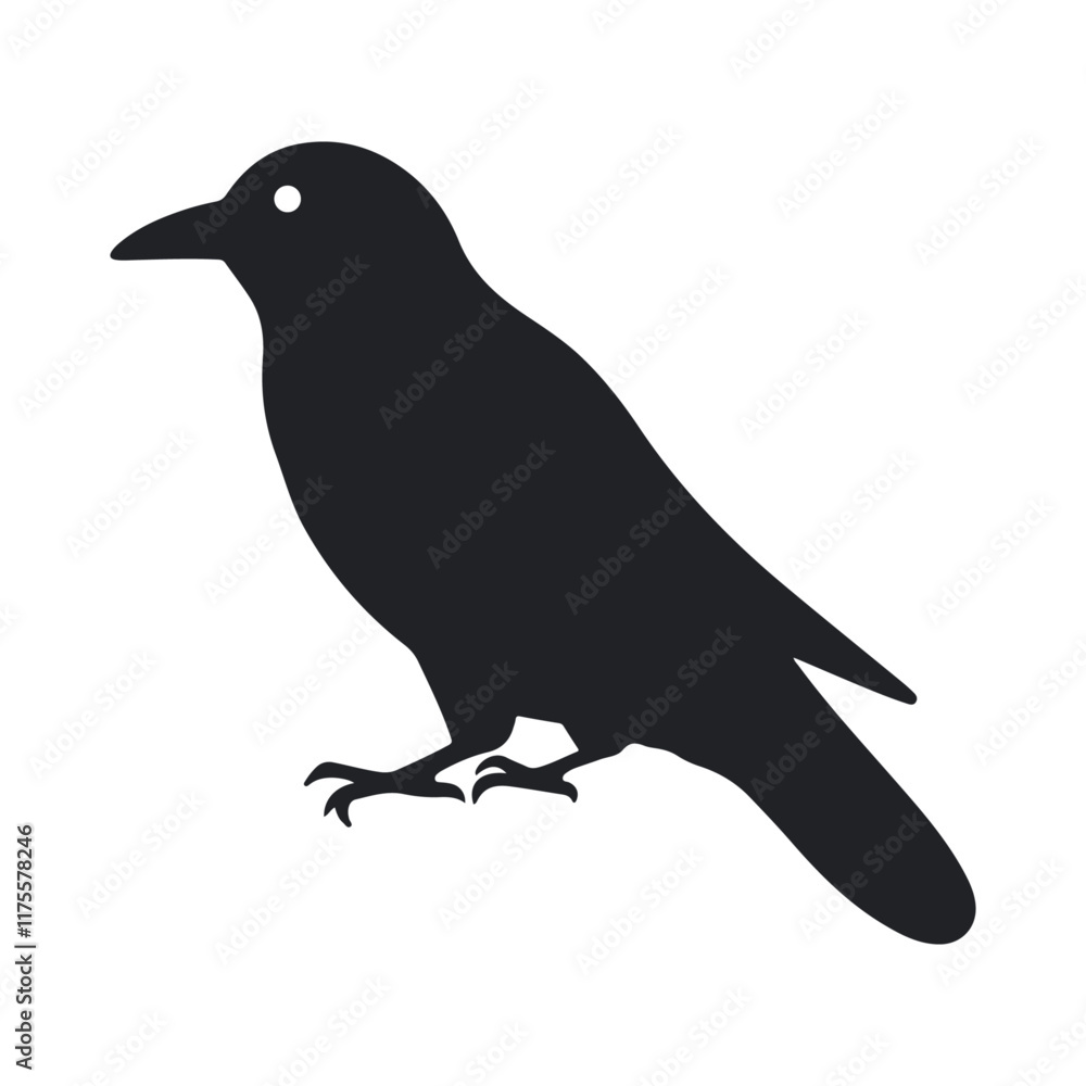 Fototapeta premium Silhouette of crow