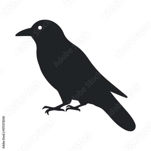 Silhouette of crow