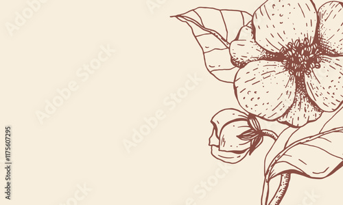 Hand drawn blooming flower branch. Botanical sketch for cards or posters. Decorative background with vintage plant. Vector