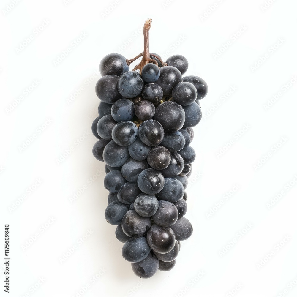 Ripe black grapes hanging on a white background, creating a simple yet elegant composition Ripe black grapes hanging on a white background, creating a simple yet elegant composition