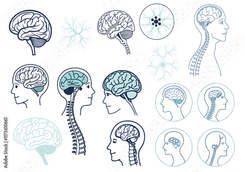 Collection of modern and flat design icons nervous system, featuring a human brain, minimal style 