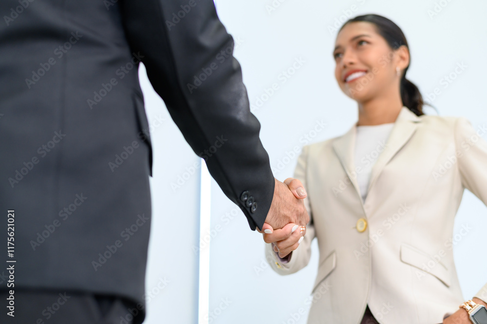 business partners shaking hands after concluding a business finished. Businessman and Businesswoman handshake in the meeting room. Business to succeed concept, Collaborative teamwork. business partners shaking hands after concluding a business finished. Businessman and Businesswoman handshake in the meeting room. Business to succeed concept, Collaborative teamwork.