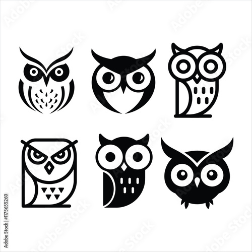 Best owl collection vector Shilytee design