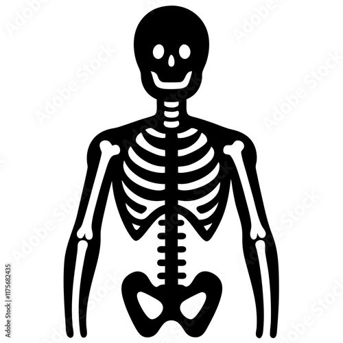 A human skeleton model silhouette vector icon illustration, skeleton on white background.