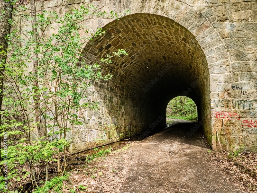 Obraz premium stone vault tunnel on a forest road