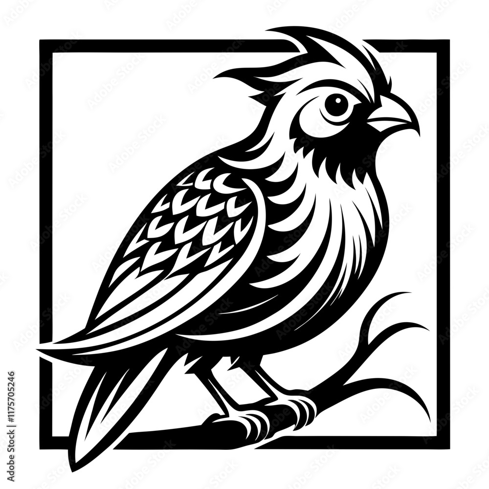 Obraz premium Eared Bulbul Bahrain silhouette