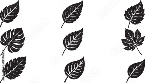 Different types of leaf silhouette vector and leaves detailed.